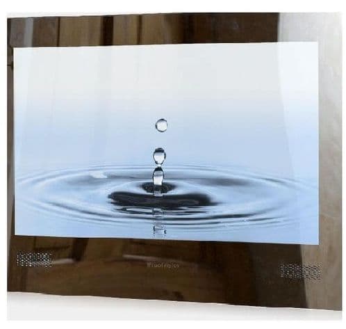 ProofVision 19" Premium Widescreen Waterproof Bathroom TV SILVER MIRROR